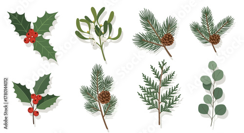 A collection of various winter and Christmas foliage, including holly, mistletoe, pine branches, cedar, and eucalyptus, on a white background.