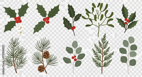 Collection of Christmas plants and branches, including holly, mistletoe, pine, and eucalyptus.