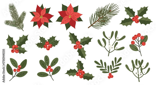 A collection of festive Christmas botanical elements including poinsettias, holly, mistletoe, pine branches, and berries, perfect for holiday designs.