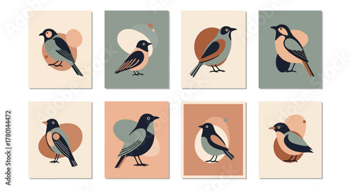 A collection of eight minimalist illustrations of birds in various poses against abstract pastel backgrounds.