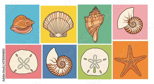 A colorful collection of illustrated sea shells and marine life on a grid of bright backgrounds.