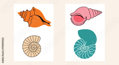 Two cards each featuring two distinct seashell illustrations, one orange and tan, the other pink and teal.