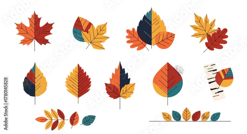 Autumn Leaves Graphic Set Colorful and Modern Designs