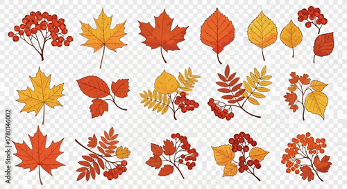 Colorful Autumn Leaves Vector Set Seasonal Illustration Elements