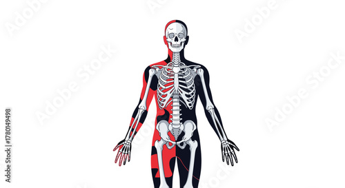 Anatomical illustration of a human body with an exposed skeleton, vertically split into a red and black patterned side and a solid black side.