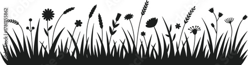 Black silhouette grass bed with various wildflowers and wheat stalks on white background