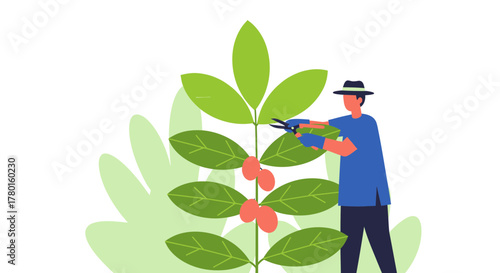 A Gardener Pruning Plants With Shears For A Flourishing And Vibrant Outcome