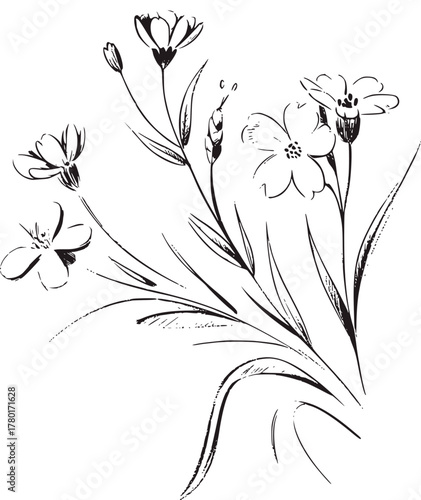 Delicate floral sketch with blooming flowers and leaves