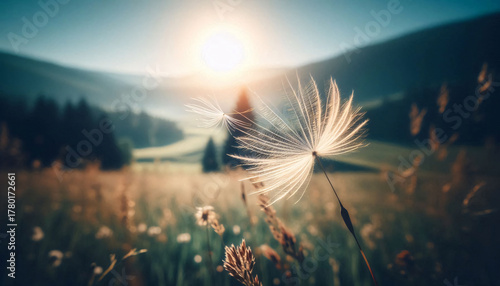 Fototapeta Naklejka Na Ścianę i Meble -  Beautiful summer landscape with dandelion flower in the meadow