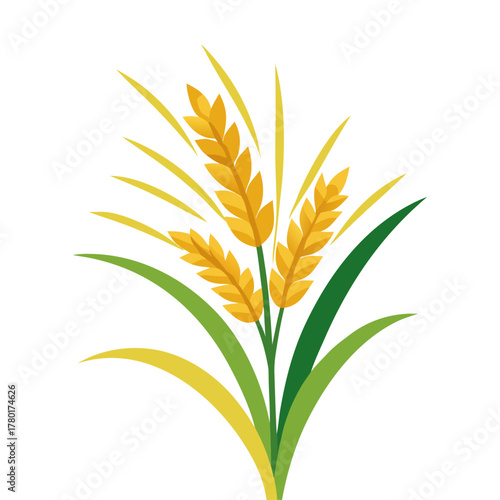 Rice Plant Vector Illustration Black Silhouette of Paddy Ears and Leaves Isolated on White Background