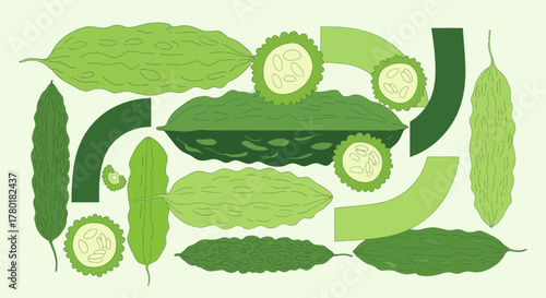 Bitter Melon Illustration: A Vibrant Vector Depiction Of Bitter Gourd's Details And Shapes