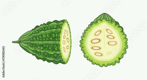 Bitter Melon Illustration: Freshly Cut Fruit Showing Seeds and Outer Skin Detail
