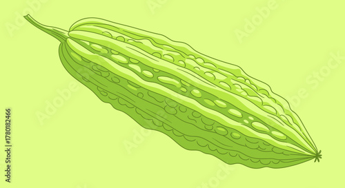 Bitter Melon Illustration Isolated on Green Background Shows Edible Plant