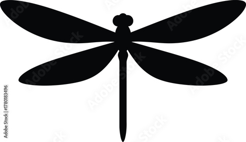 dragonfly vector illustration