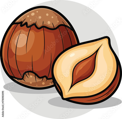 vector illustration of a walnut