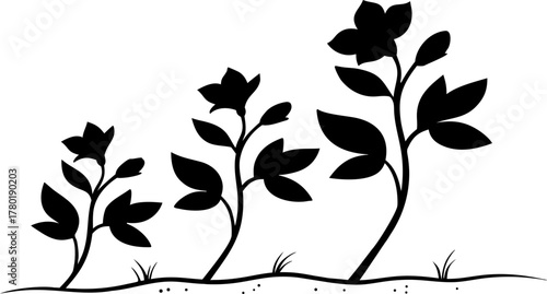 A silhouette illustration depicting three stages of a flowering plant's growth and development.