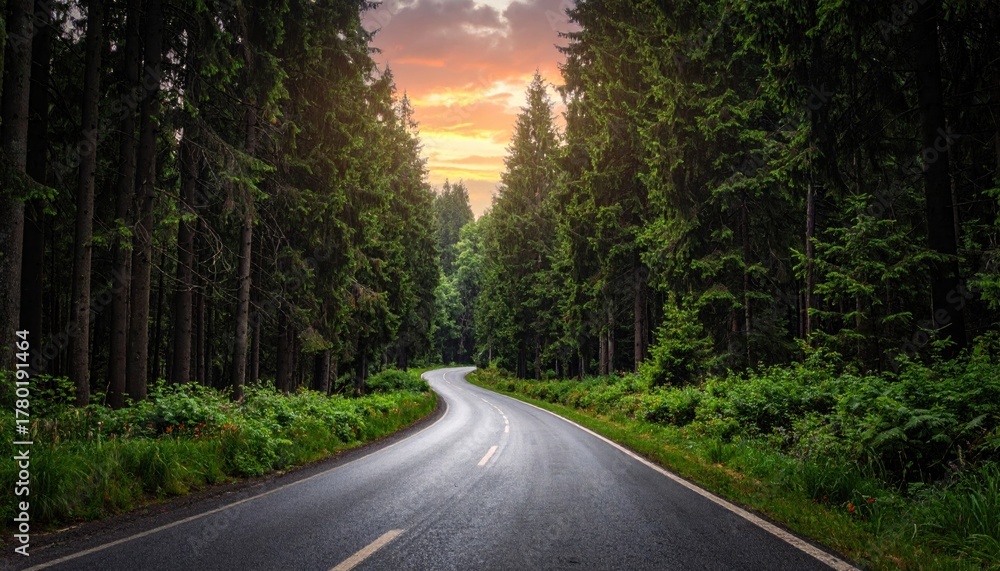 Obraz premium Forest Road at Sunset.