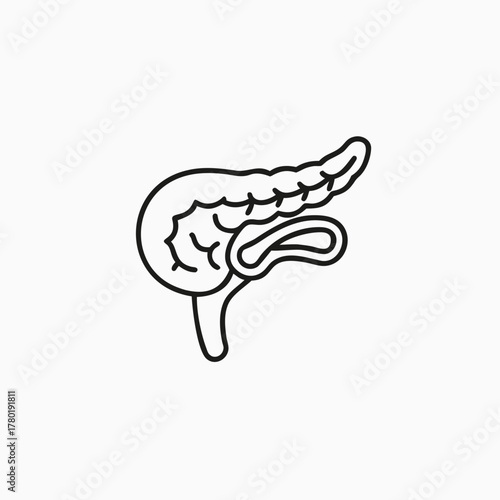 pancreas line art icon silhoutte vector template
