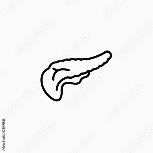 pancreas line art icon silhoutte vector template