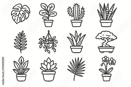 Home snake icon succulent vera hanging monstera plant vector tree icons leaf