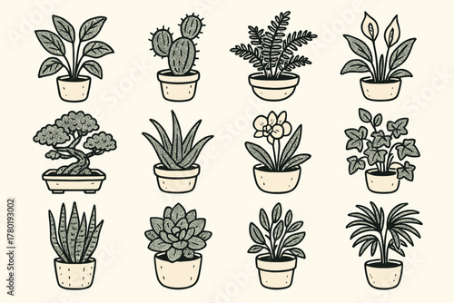 Bonsai vera icons greens vector icon orchid home fern ivy succulent plant