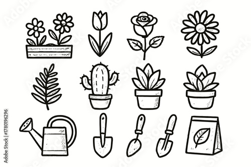 Succulent rose vector icons potted garden soil plant packet leaf icon fern