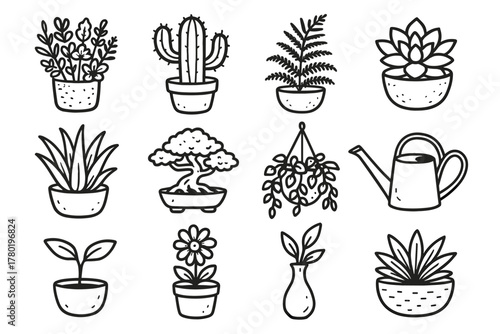 Icon plant vector botanical planter bonsai cactus collection flower aloe succulent potted
