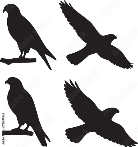 collection of falcon silhouettes in solid black, featuring a mix of perched and flying poses on a clean white background.