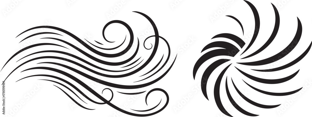 Fototapeta premium Elegant Black Abstract Swirls and Flowing Lines Vector Design