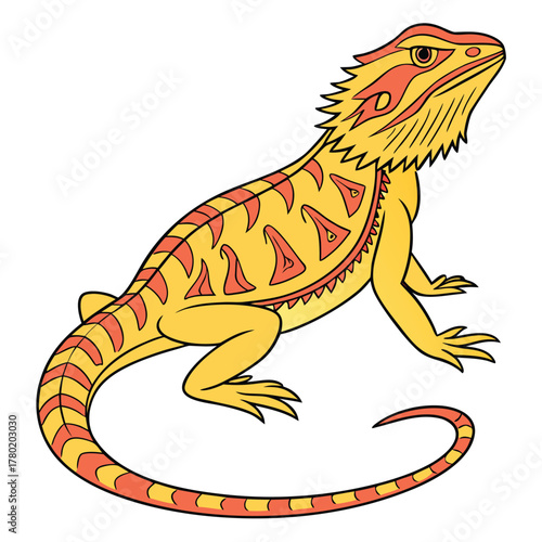 Bearded Dragon Color Vector Illustration