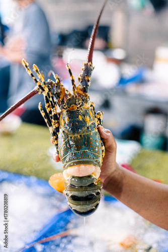 Enorme langouste dans une poissonnerie à Koh Samui