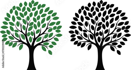 Detailed Green Tree and Black Silhouette Tree on White Keywords: tree, green tree, silhouette