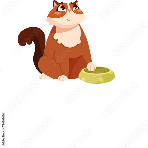 Charming Brown Cat With White Chest And Fluffy Tail Sitting Beside Empty Bowl Waiting To Be Fed Outdoors With White Background