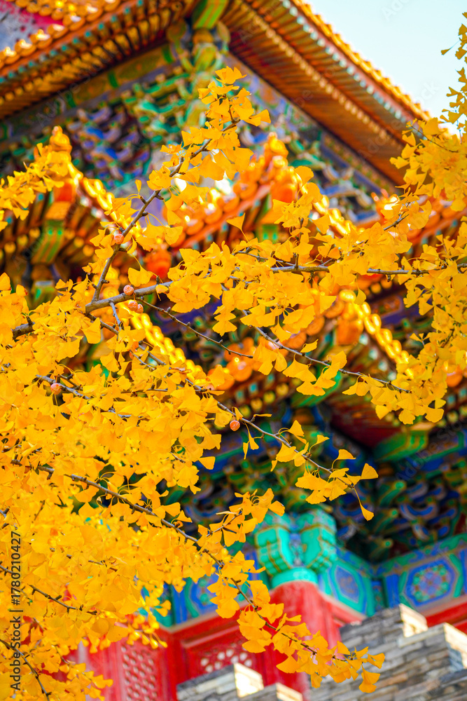 Fototapeta premium traditional chinese style architecture