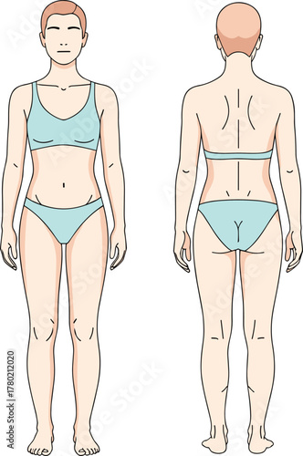 Front and back female body anatomy illustration in underwear, medical reference diagram for human proportions, health, fitness, posture, and anatomy study.