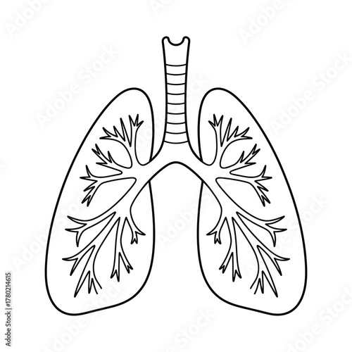 Line art illustration of human lungs and trachea