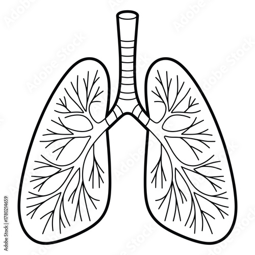 Black and white illustration of human lungs and trachea