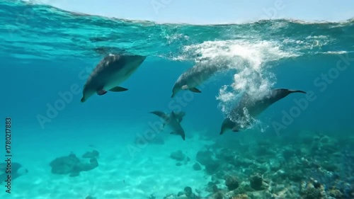 Wallpaper Mural Close up, eye level perspective of a dolphin's dorsal fin cutting through the pristine blue water, creating gentle ripples, highlighting the animal's presence and the vastness of the ocean. Torontodigital.ca