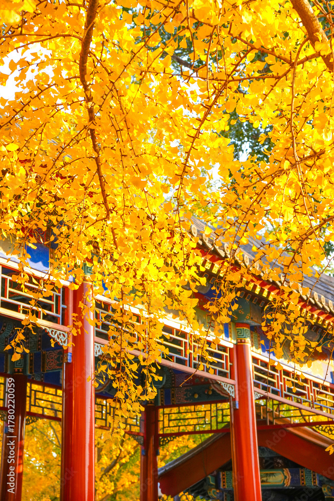 Obraz premium Chinese Gardens Autumn Travel