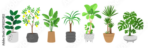 vector flat Plants tree in pots set. Clip art isolated on transparent background.