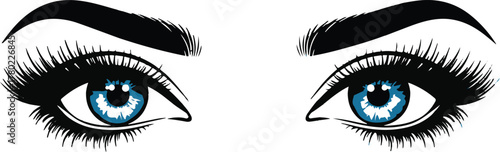 Close Up Of Blue Eyes With Black Eyelashes And Eyebrows