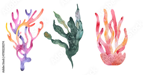 Set of watercolor seaweed and corals isolated on white