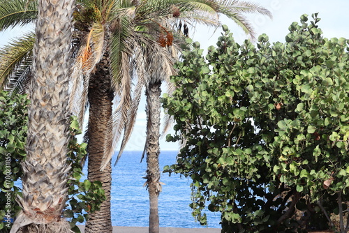Puerto de la Cruz Beach