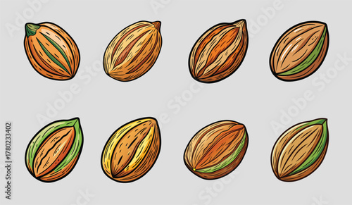 Hand Drawn Cocoa Beans of Varying Colors and Stages of Ripeness
