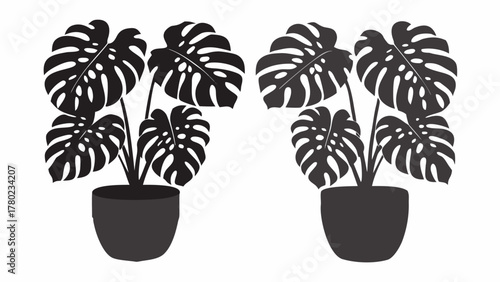 Trendy monstera plant art to elevate your interior design projects with a modern botanical vibe