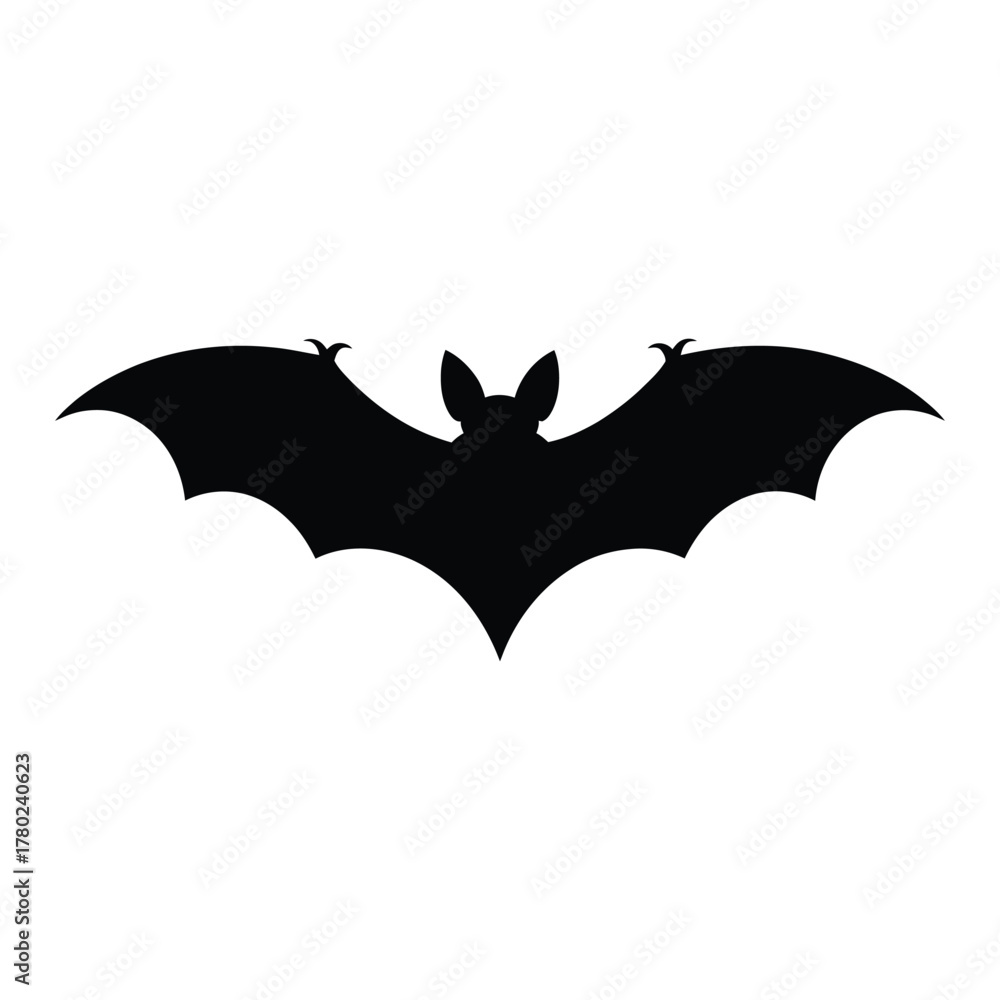 Fototapeta premium Bat with detailed wing pattern Vector, Silhouette, Illustration
