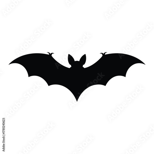 Bat with detailed wing pattern Vector, Silhouette, Illustration