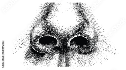 Detailed Black and White Vector Drawing of Nose and Mouth for Professional Use