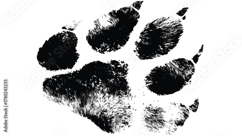 Monochrome Paw Print Overlay on Paw Print Wildlife Vector Illustration
