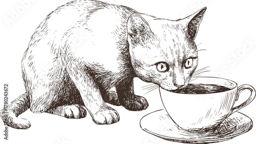 Cat Drinking from Coffee Cup Vector with Outline Isolated